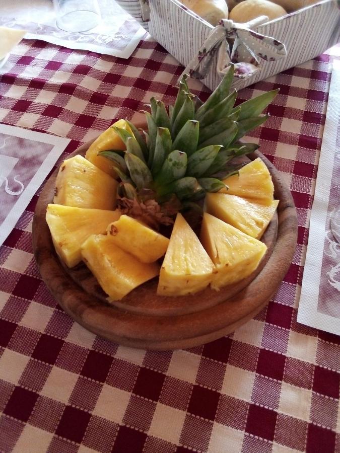 Agriturismo Ai Pruesot Bagnolo Piemonte Kültér fotó